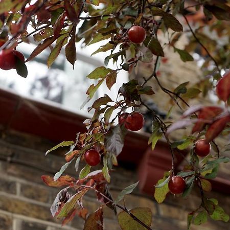 Luxury London Garden Home Sleep 7, 2 Mins To Metro Dış mekan fotoğraf