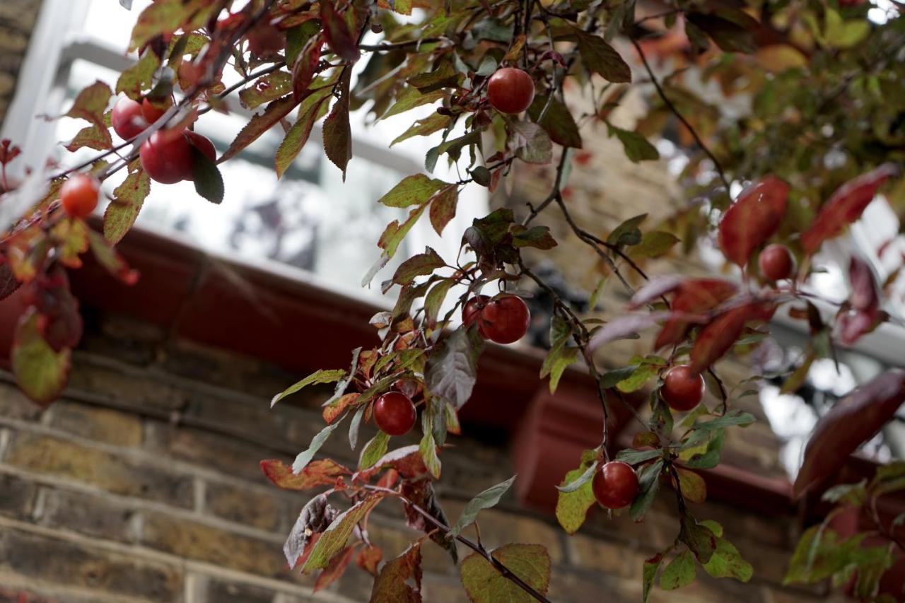 Luxury London Garden Home Sleep 7, 2 Mins To Metro Dış mekan fotoğraf